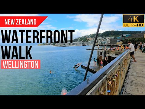 Wellington Central Waterfront, New Zealand | 4K Walking Tour