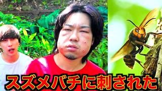 スズメバチに刺されて前が見えません
