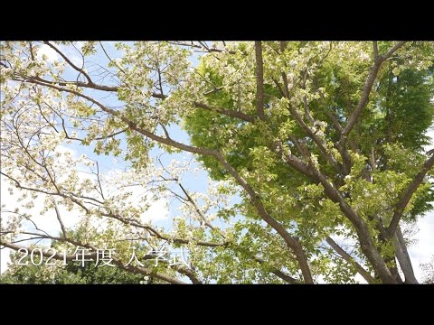2021年4月 江戸川大学 入学式