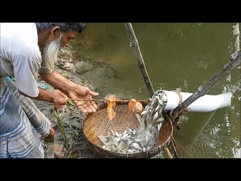 İnanamayacağınız En Sıradışı Balık Yakalama Teknikleri