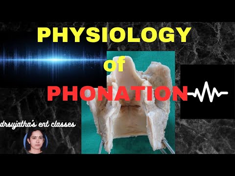 219.Physiology of Phonation ent #anatomy_physiology #sound
