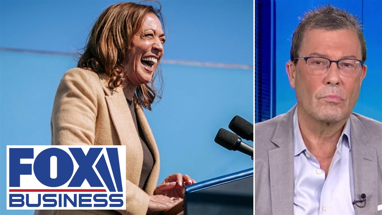 Democrat strategist professes the party's 'big mistake'