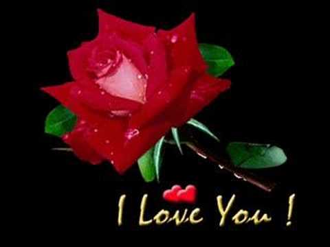 Çetin çetinkaya-Dir egal