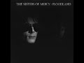 Sisters Of Mercy  - Never Land [A Fragment] (D minor)