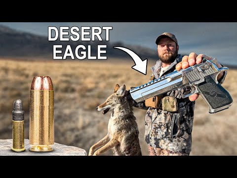 How Deadly Is The 50 AE Desert Eagle (Coyote Hunting Test)