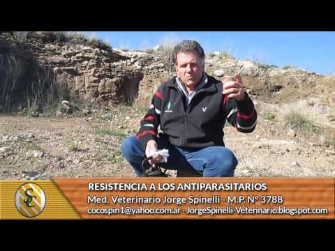 Dr Jorge Spinell - Resistencia a los Antiparasitarios