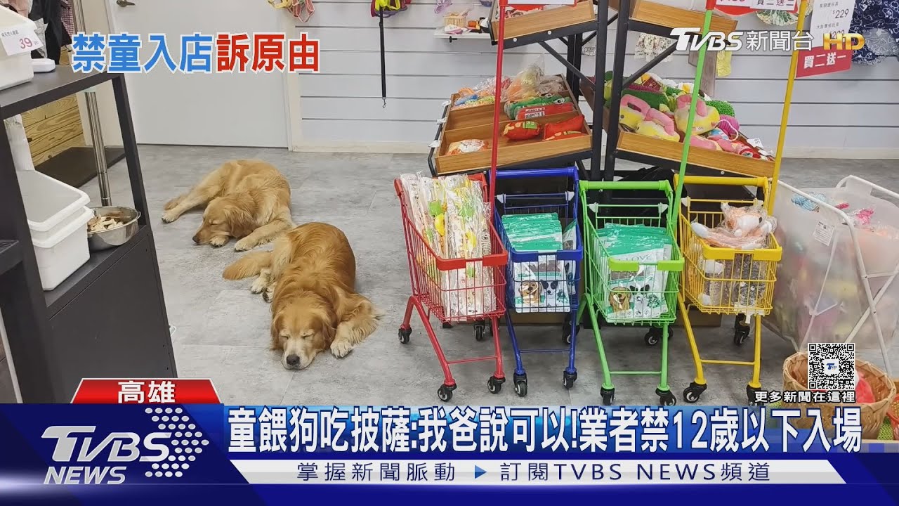 餵狗吃披薩被制止　童嗆：我爸說可以！咖啡廳禁12歲以下入場