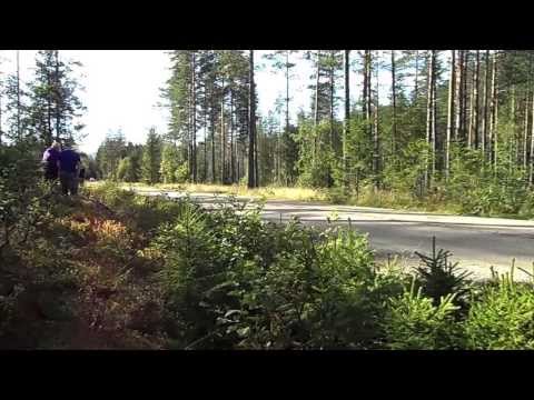 Rally Telemark 2013 - Gransherad