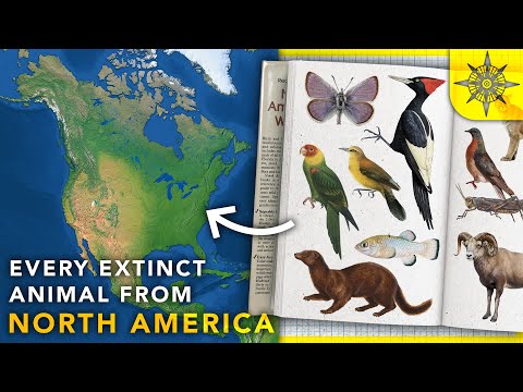Extinct North American Birds: The Ones They Forgot to Mention