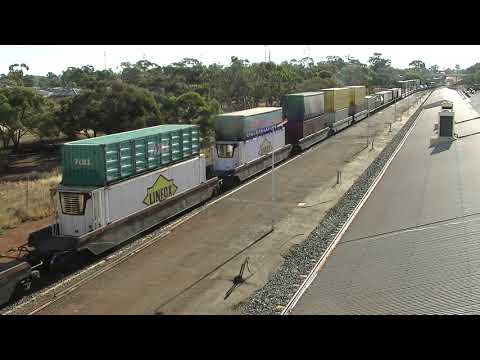 NR16 and NR118 6MP4b