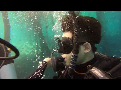 Diving Arborek - Raja Ampat, West Papua, Indonesia