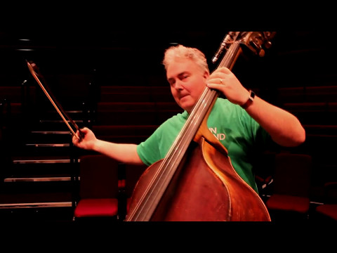Meet the Double Bass! for ages 0-5