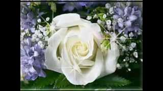 Nana Mouskouri *♥* Roses love sunshine. MSWMM