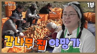 [나는 농부다 379회 1부] 감나무 집 야먕 며느리