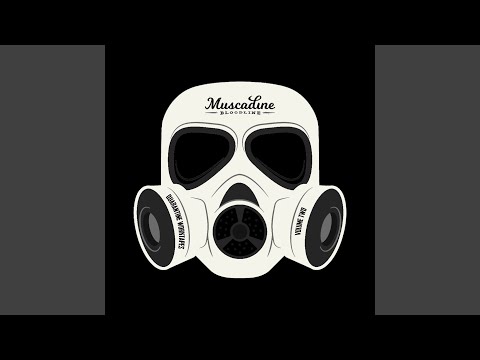 Gold Was Gasoline - Muscadine Bloodline