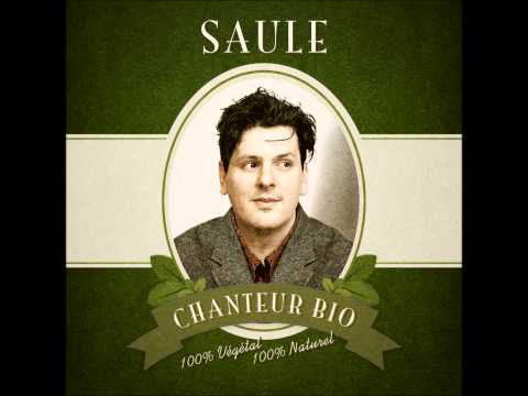 SAULE - Chanteur Bio