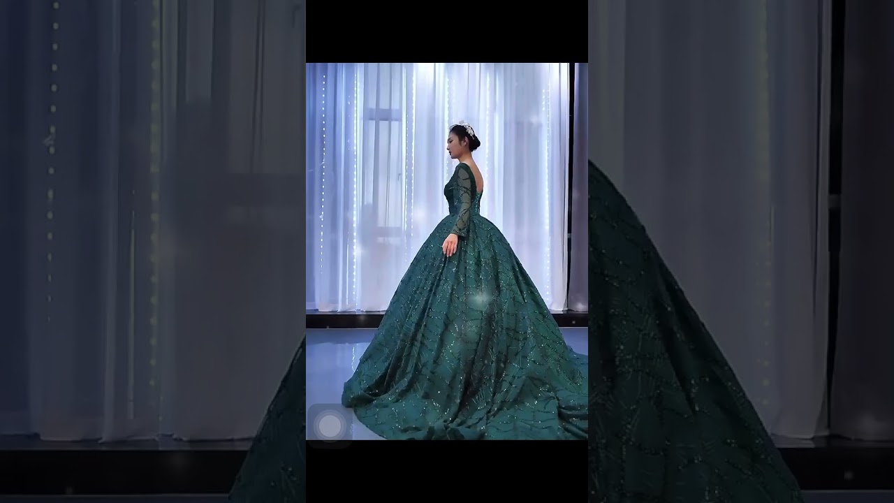 Long Sleeve Prom Party Dress