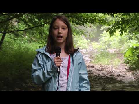 VICTORIA BARDAN - În cât timp se descompun gunoaiele lăsate în natură de turiști