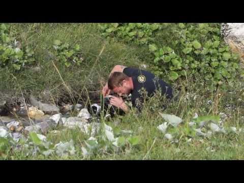 Phumaso & Smack - Amadeus feat. Celine - Making of...