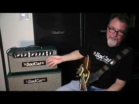 Bad Cat Hot Cat 30R - Custom Shop Gold Sparkle Cabinet image 11