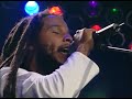 Day By Day - Ziggy Marley & The Melody Makers Live at HOB Chicago (1999)