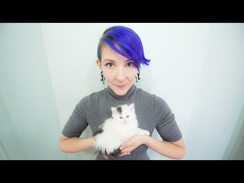 Perfect Time by Sarah Donner (kitten time lapse!)