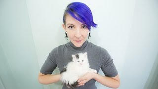 Perfect Time by Sarah Donner (kitten time lapse!)