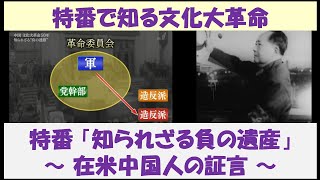 特番で知る文化大革命　特番「知られざる負の遺産」　～ 在米中国人の証言 ～　【日本語解説】