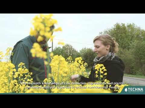 Techna scientific expertise