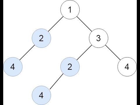 Find Duplicate Subtrees || Hashing Nuances