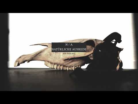 Natürliche Ausrede #028 Julian & Ben - We almost lost Bochum