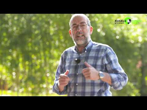 Winterharte Stauden als Rasenersatz -  Gartentipps von Volker Kugel - www.grünzeug.tv