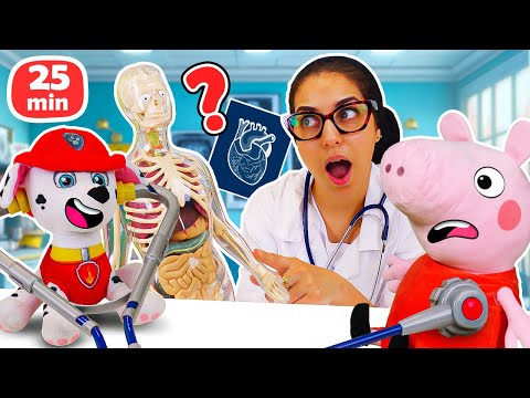 🤓Apprendre le corps humain avec Peppa Pig et la Pat Patrouille👩‍🔬🩺 Jeux de docteur pour enfants