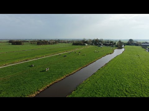 Kamerik by drone November 2020