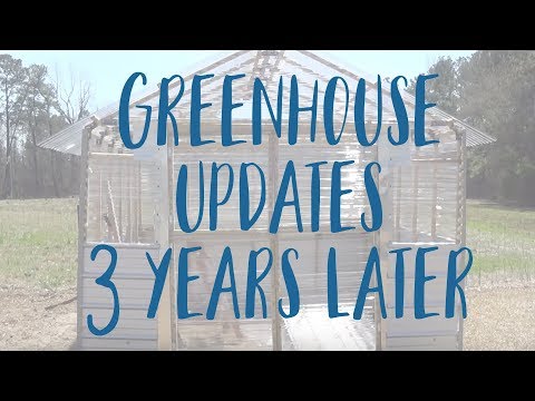 Greenhouse updates on Our 1 Acre Homestead | 3 Years Later | Three Little Goats