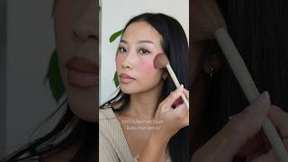 Download lagu New NYX buttermelt blushes 🌸 mp3