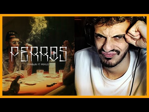 MENUDAS VIBES :O | REACCIÓN a FYAHBWOY ❌ NADAL015 - PERROS