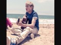 Niall Horan Singing Party In The Usa 