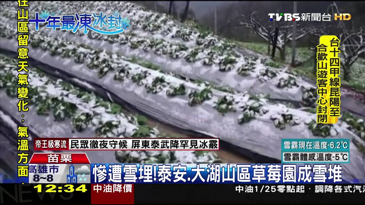 苗栗仙山下雪! 睽違2、30年下雪民眾驚呼