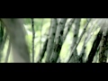 Epic Love Strory Kuat Saida 2013