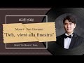 W. A. Mozart: Don Giovanni, No.16 Canzonetta "Deh, vieni alla finestra" 한태일(Baritone Hantaeil)