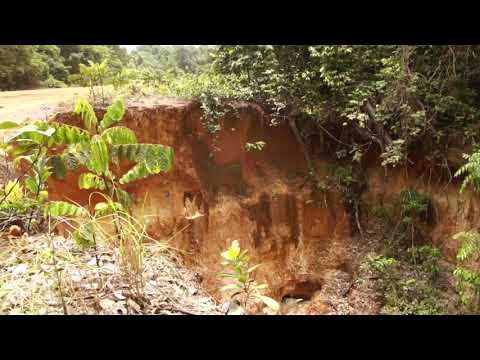 Returning from the Kurupukari Crossing
