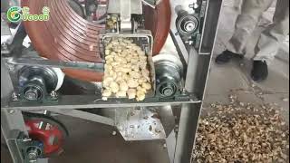 Fava bean peeler broad bean peeling machine pulses skin remover wet method