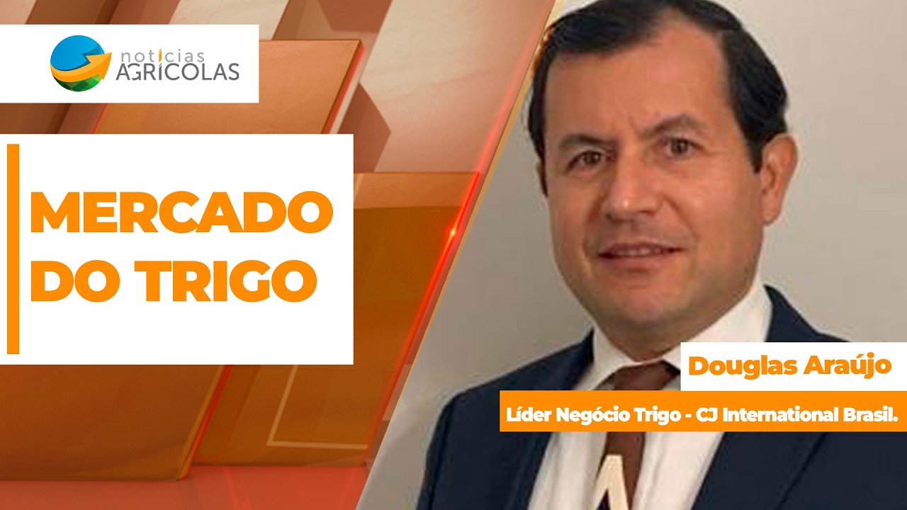 Conflitos internacionais deixam mercado global do trigo em alta volatilidade