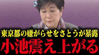 【 小池百合子】優秀な議員を潰す小池都政の実態をさとうさおりが暴露！小池大慌て【小池都知事 都議会 カイロ大学 学歴詐称疑惑】