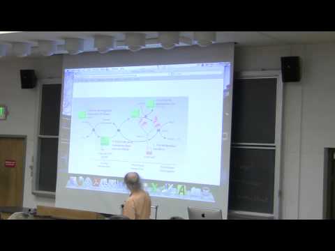 #29 Biochemistry Lecture (Citric Acid Cycle) from Kevin Ahern's BB 350