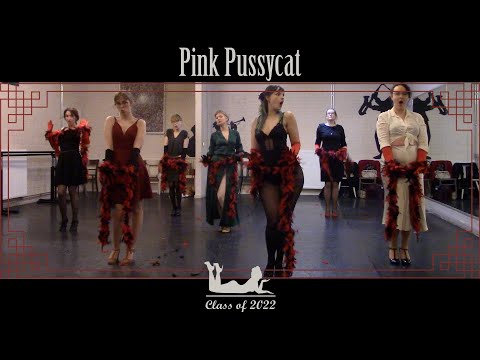 Class2022: Pink Pussycat
