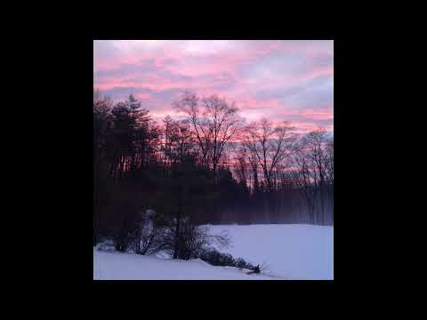 cxrter and babieyummo