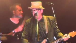 Elvis Costello & The Imposters - Less Than Zero