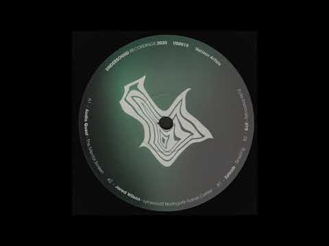 A1. Audio Quest – The Mental Screen [USR015]